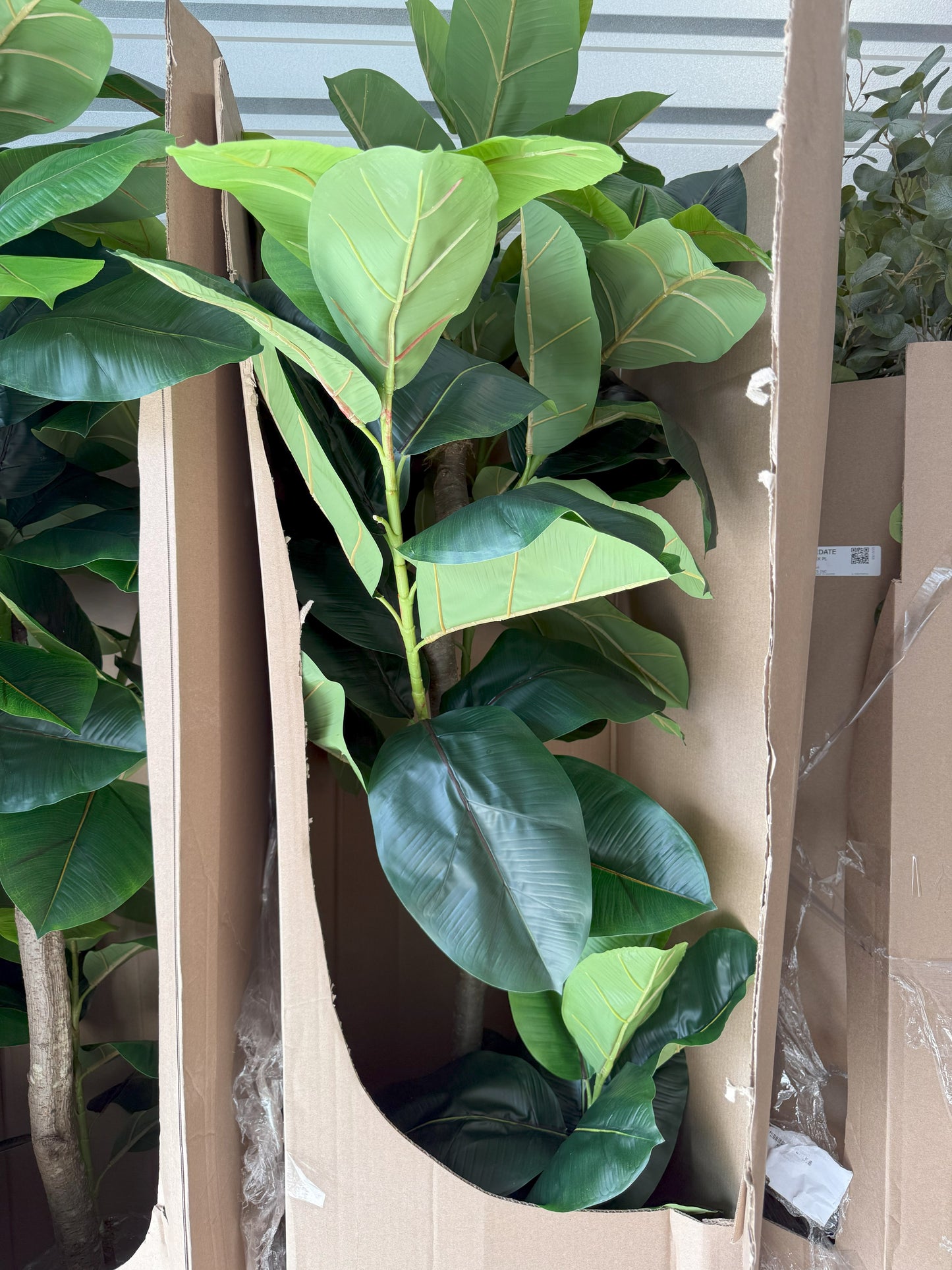 8' Faux Fig Tree in Oversized Ceramic Pot