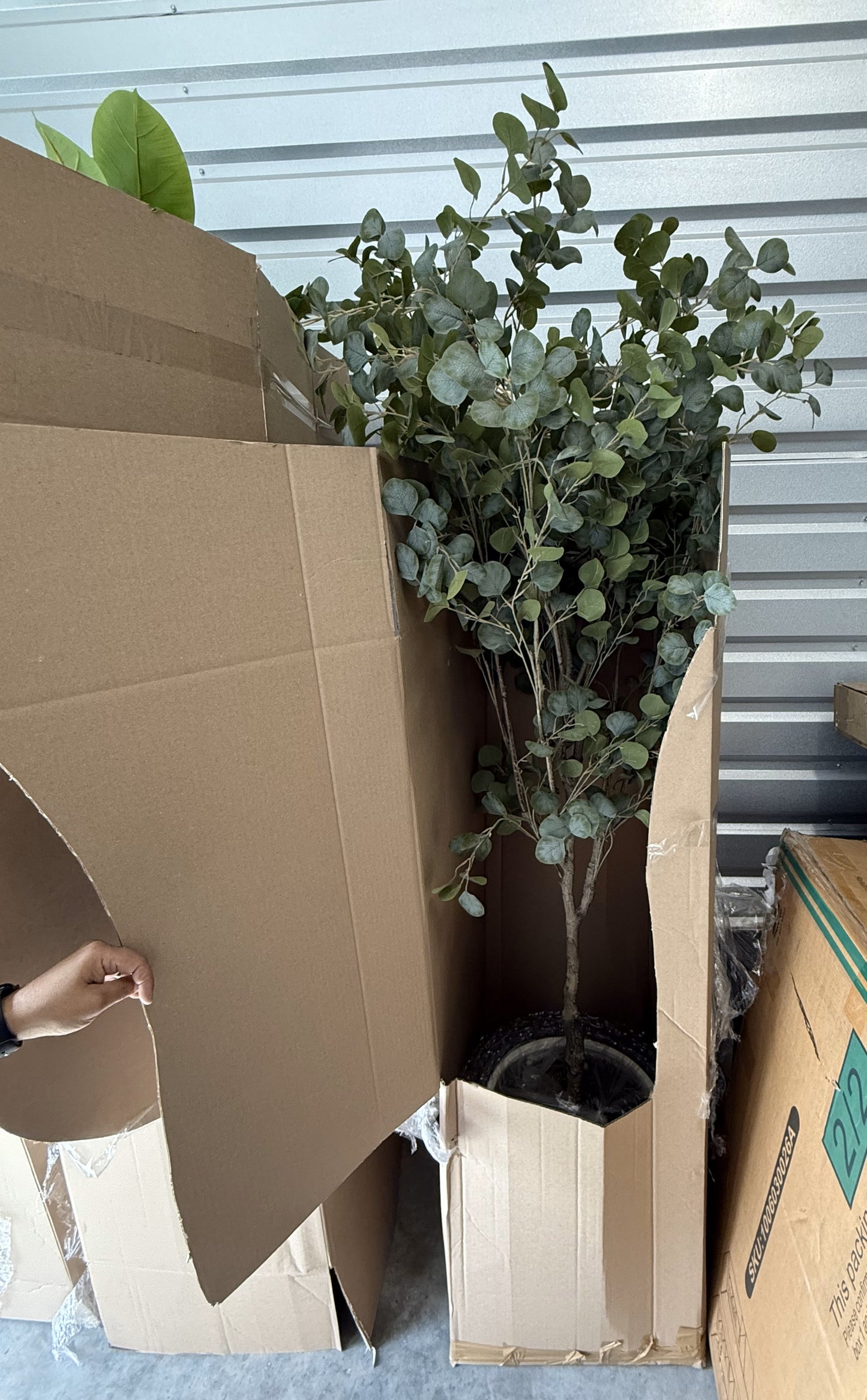 Faux 8' Eucalyptus Tree in Oversized Ceramic Pot