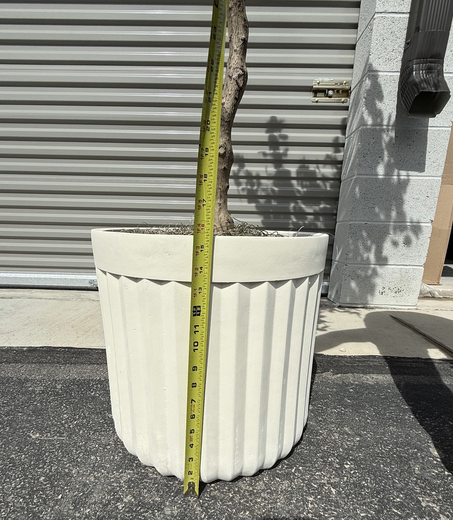 Faux 8' Eucalyptus Tree in Oversized Ceramic Pot
